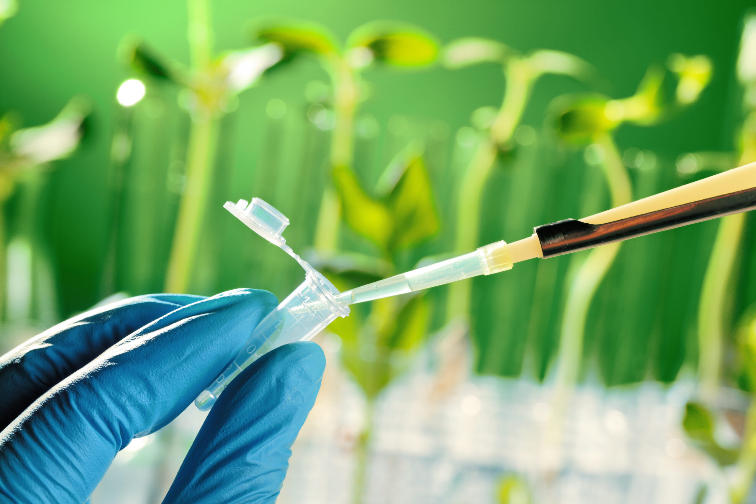 gloved scientist testing agriculture chemicals with a vial and a dropper in front of a row of plants